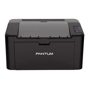 Чистка головки на принтере Pantum в Тюмени